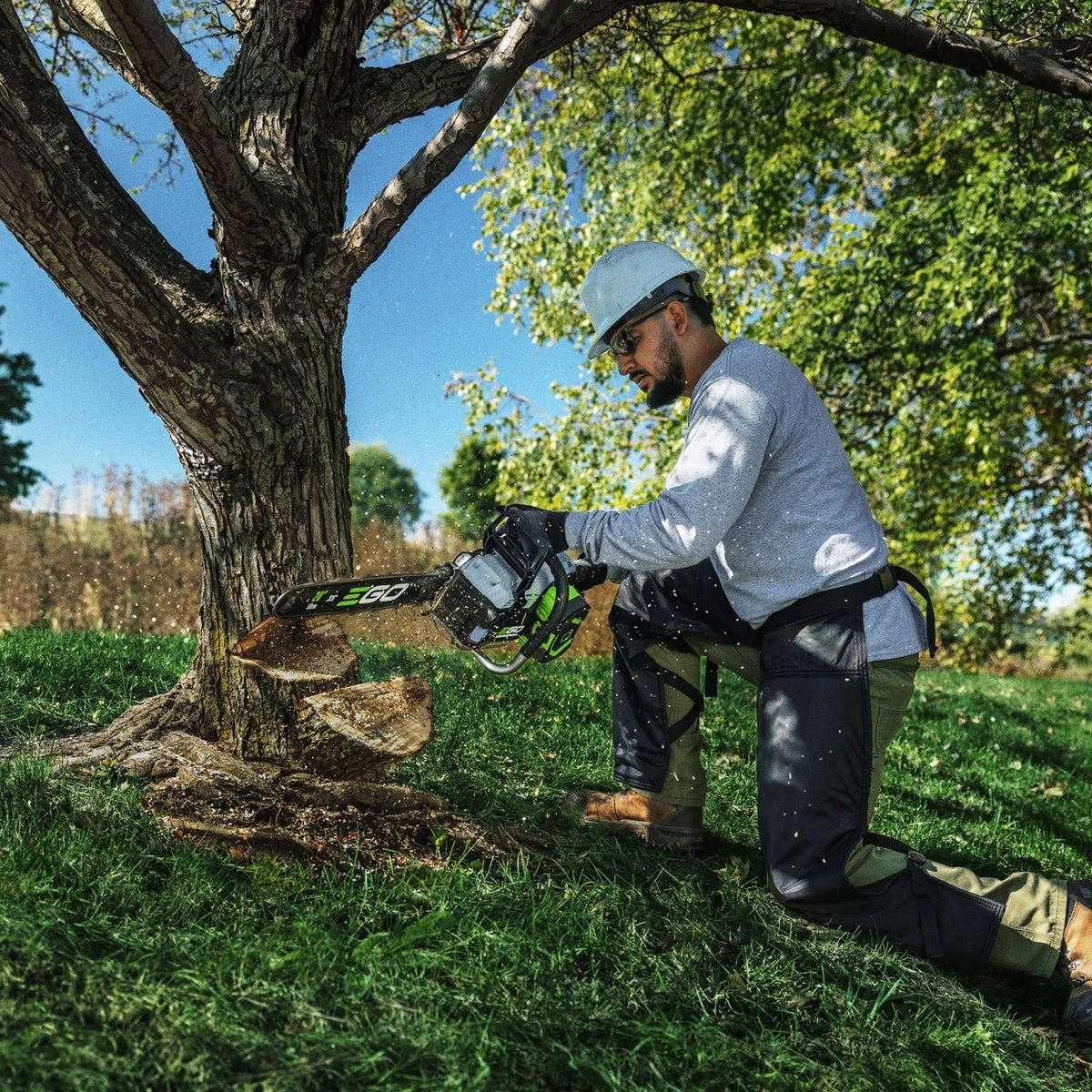 Tree Cleanup Kit